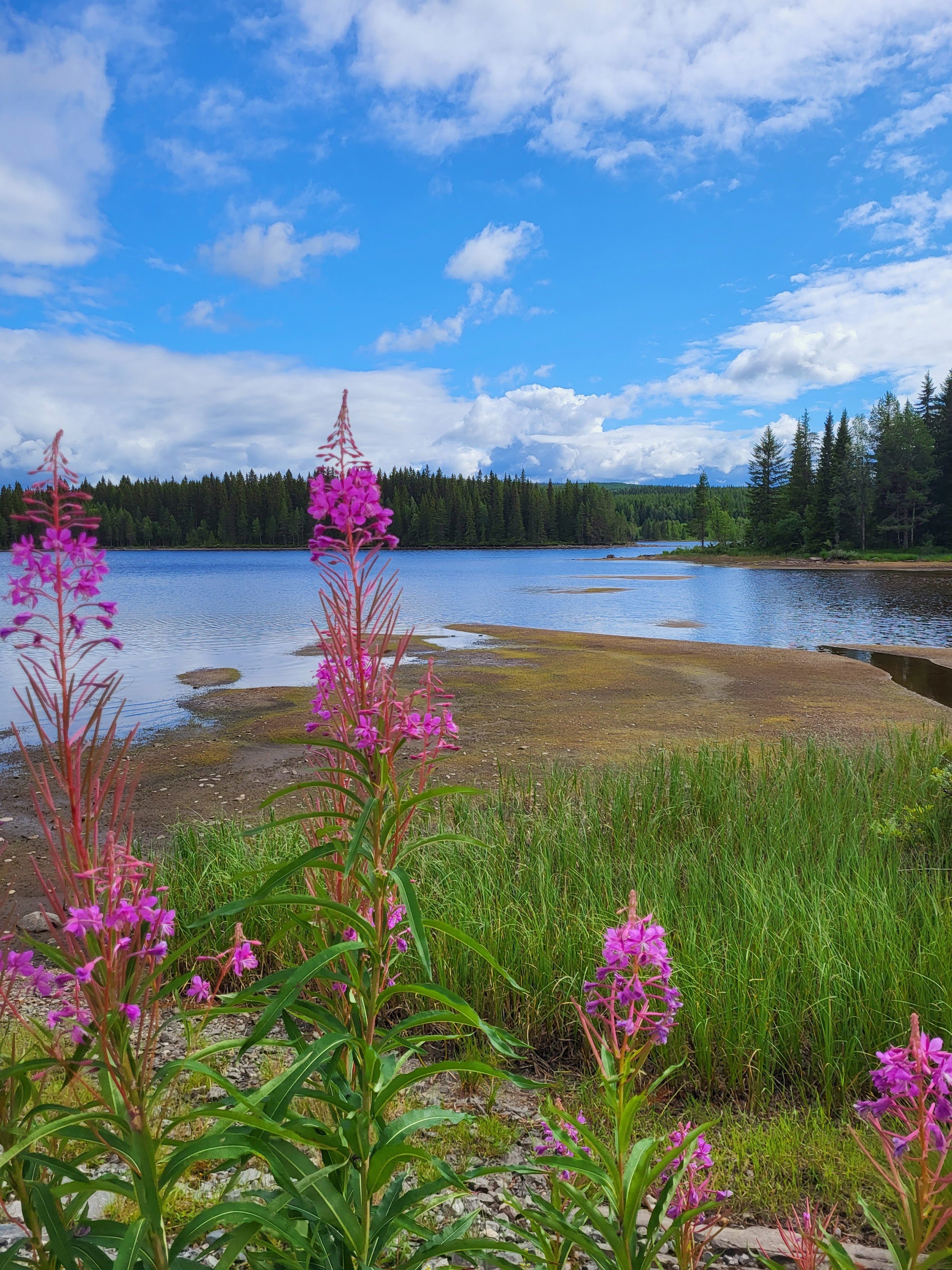 Sjulsvattnet (Skjulsvattnet)